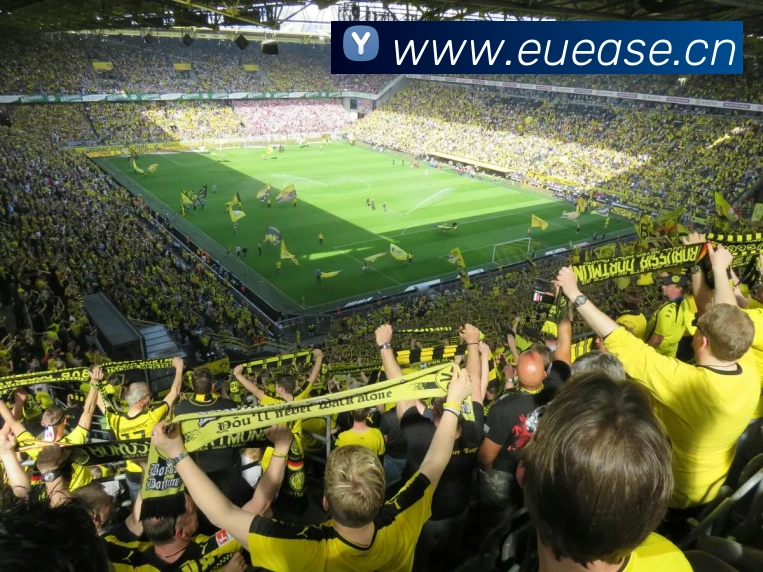 App Interface Preview